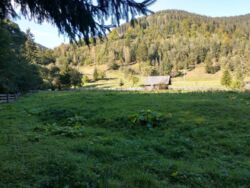 ��������� ������ ��������, �������������, �����-���������� ���� 4