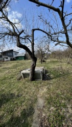 ��������� ������ �����-���������, �����-����������, ����� ���� 5