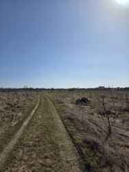 ��������� ������ ϳ�����, ������������, �����-���������� ���� 2