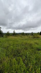 Продається ділянка урочище 'За плотами', Рибне, Тисменецький, Івано-Франківська фото 19 Продається ділянка урочище 'За плотами', Рибне, Тисменецький, Івано-Франківська фото 19