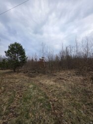 ��������� ������ ������������, ����, ������������, �����-���������� ���� 5