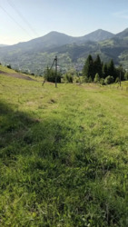 ��������� ������ ���������, �������������, �����-���������� ���� 17