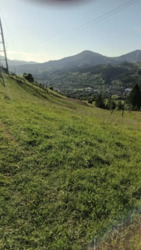 ��������� ������ ���������, �������������, �����-���������� ���� 15