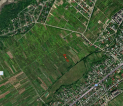 ��������� ������ ������� ���, ��������, �����-��������� ����, �����-���������� ���� 4