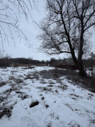 ��������� ������ �������, ���������, ������������, �����-���������� ���� 3