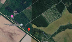 ��������� ������ �����������, ���������������, �����-���������� ���� 1