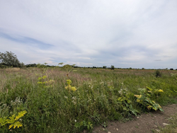 Продається ділянка Горішній лан, Крихівці, Івано-Франківські села, Івано-Франківська фото 4 Продається ділянка Горішній лан, Крихівці, Івано-Франківські села, Івано-Франківська фото 4