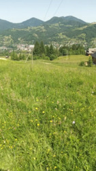 ��������� ������ ���������, �������������, �����-���������� ���� 5