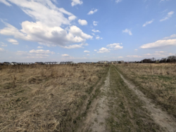 ��������� ������ ������� ���, ��������, �����-��������� ����, �����-���������� ���� 7