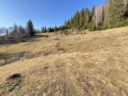 ��������� ������ ���������, �������������, �����-���������� ���� 10