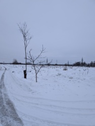 ������ �������� ������ � �.��������� ���� 8