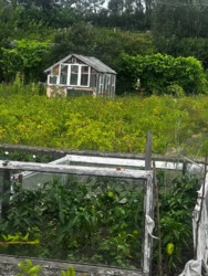 ��������� ������ ��� ĳ�����, ��������, ������������, �����-���������� ���� 1