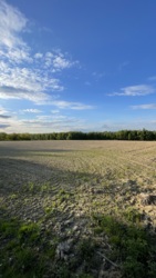 Продається ділянка Івано-Франківська, Тисменецький, Угринів фото 1 Продається ділянка Івано-Франківська, Тисменецький, Угринів фото 1