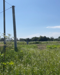 Продається ділянка Вивізна, Крихівці, Івано-Франківські села, Івано-Франківська фото 4 Продається ділянка Вивізна, Крихівці, Івано-Франківські села, Івано-Франківська фото 4