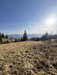 ��������� ������ ���������, �������������, �����-���������� ���� 2