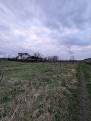 ��������� ������ ����, ������������, �����-���������� ���� 11