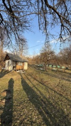 ��������� ������ ��������, ����, ������������, �����-���������� ���� 11