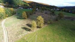 ��������� ������ �����-����������, ���������, ���� ���� 5