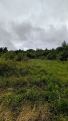Продається ділянка урочище 'За плотами', Рибне, Тисменецький, Івано-Франківська фото 20 Продається ділянка урочище 'За плотами', Рибне, Тисменецький, Івано-Франківська фото 20