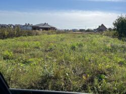 ��������� ������ ������, ��������, �����-��������� ����, �����-���������� ���� 1