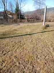 ��������� ������ ������, ���������, �����-���������� ���� 5