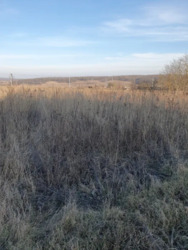 ��������� ������ ��������, ����䳿���, ������������, �����-���������� ���� 5