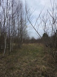 ��������� ������ ������������, ����, ������������, �����-���������� ���� 8