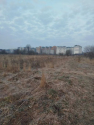 ��������� ������ ��������, �����-��������� ����, �����-���������� ���� 1