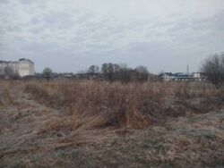 ��������� ������ ��������, �����-��������� ����, �����-���������� ���� 3