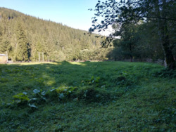 ��������� ������ ��������, �������������, �����-���������� ���� 2