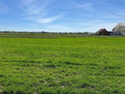 Продаж земельної ділянки в с.Браківці Тисменицького району Івано-Франківської області фото 1 Продаж земельної ділянки в с.Браківці Тисменицького району Івано-Франківської області фото 1