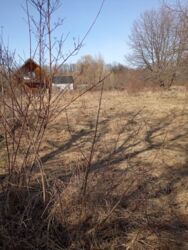 ��������� ������ ������, �����, �������������, �����-���������� ���� 7