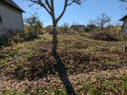 ��������� ������ ���������, �����-��������� ����, �����-���������� ���� 5