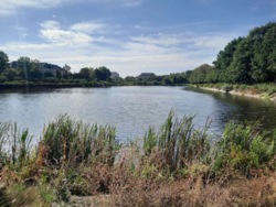 ��������� ������ ��������, ���������, ������������, �����-���������� ���� 1