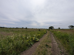 Продається ділянка Горішній лан, Крихівці, Івано-Франківські села, Івано-Франківська фото 5 Продається ділянка Горішній лан, Крихівці, Івано-Франківські села, Івано-Франківська фото 5