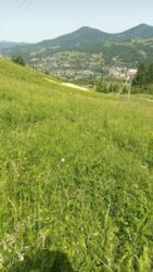 ��������� ������ ���������, �������������, �����-���������� ���� 7