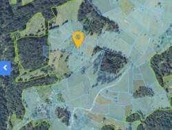 ��������� ������ ���������, �������������, �����-���������� ���� 15