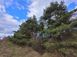 Продається ділянка Колодіївка, Тисменецький, Івано-Франківська фото 2 Продається ділянка Колодіївка, Тисменецький, Івано-Франківська фото 2
