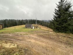 ��������� ������ ��������, ������, �����-���������� ���� 5