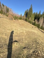 ��������� ������ ���������, �������������, �����-���������� ���� 5