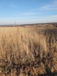 ��������� ������ ��������, ����䳿���, ������������, �����-���������� ���� 3