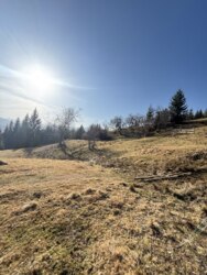 ��������� ������ ���������, �������������, �����-���������� ���� 8