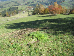 Продається ділянка Замагора, Верховинський, Івано-Франківська фото 12 Продається ділянка Замагора, Верховинський, Івано-Франківська фото 12