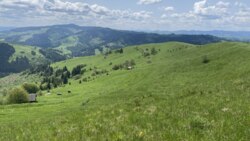 Продається ділянка фото 9 Продається ділянка фото 9