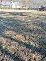 ��������� ������ ������, ���������, �����-���������� ���� 4