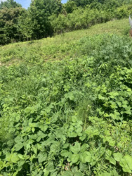 ��������� ������ ����, ������������, �����-���������� ���� 6