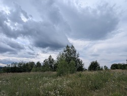 Продається ділянка Щорса, Вербовець, Косівський, Івано-Франківська фото 21 Продається ділянка Щорса, Вербовець, Косівський, Івано-Франківська фото 21