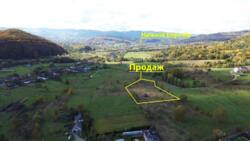 ��������� ������ �����-����������, ���������, ���� ���� 12