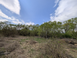 ��������� ������ ���������� ���., �����-���������, �����-����������, ������� ���� 5