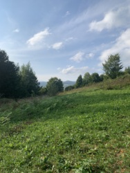 ��������� ������ ������, ������, �����-���������� ���� 5